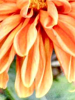 693d9124-9bd7-422e-a365-e6b4c7b9be6c-1-1 (1).jpg